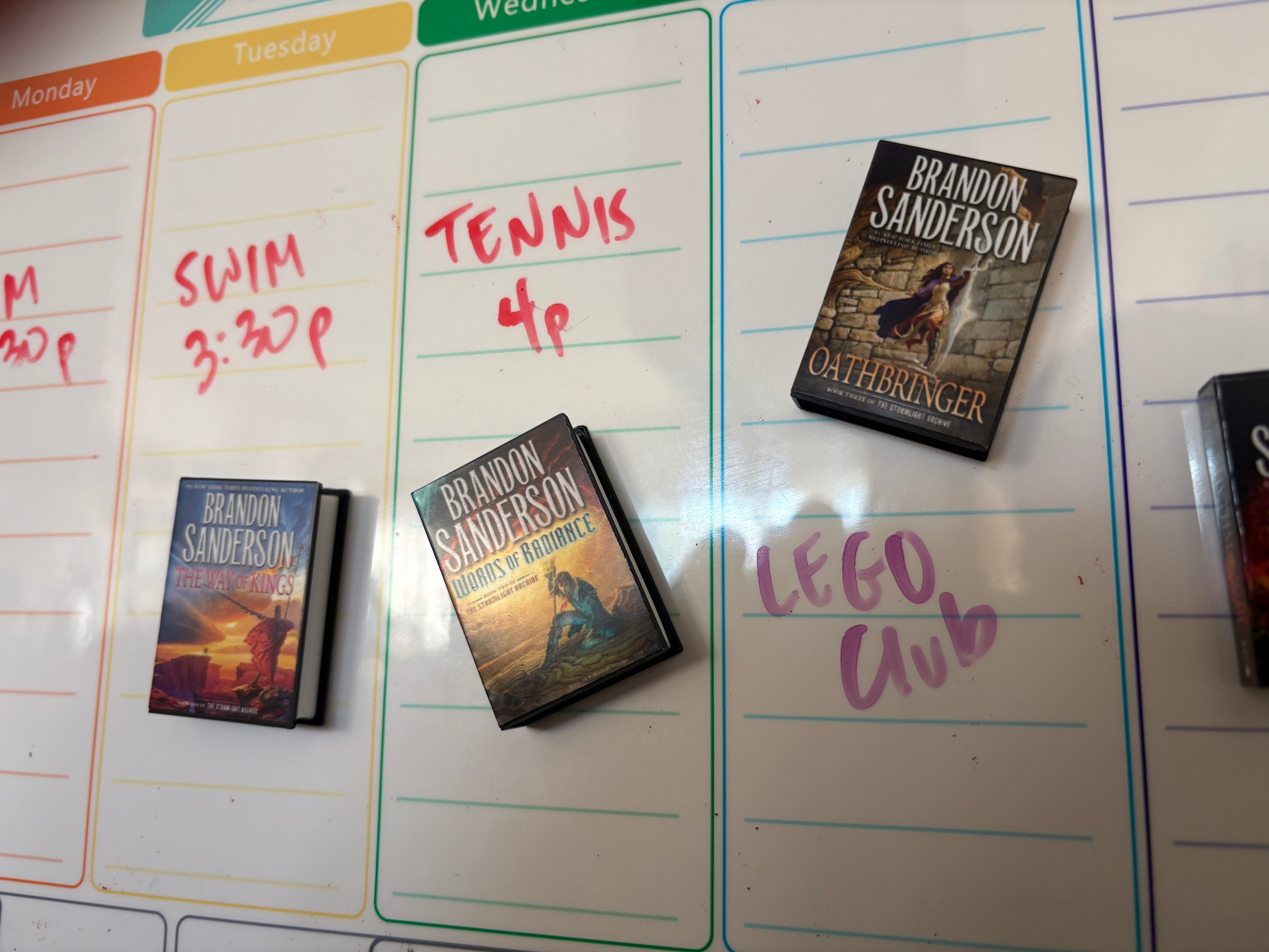 Full Cosmere Set - Mini Book Magnets (18 Books - Free Shipping!)